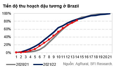 Tổng kết thị trường nông sản tuần 10/04-14/04: Brazil hoàn tất gieo trồng vụ Ngô Safrinha